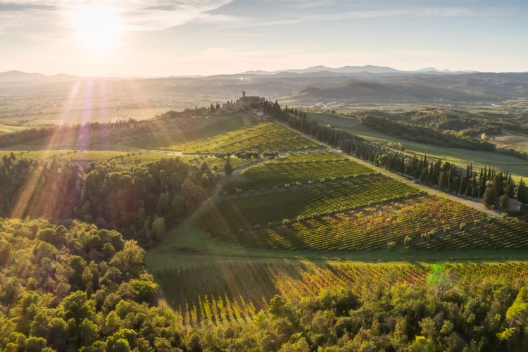 Tuscany winery aerial view Castello Banfi