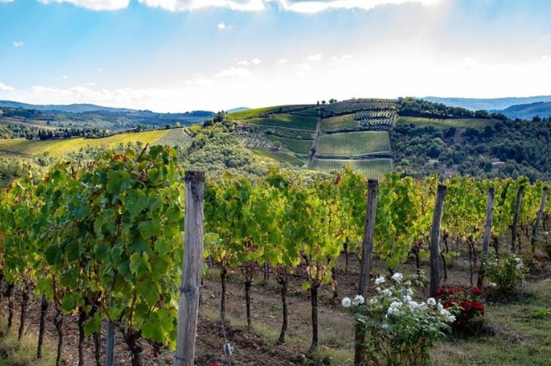 Tuscany safari wine tour view