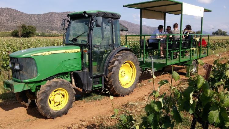 Enjoy tasting wine in the vineyards of Mantinia PDO on a tractor ride at Troupis Winery