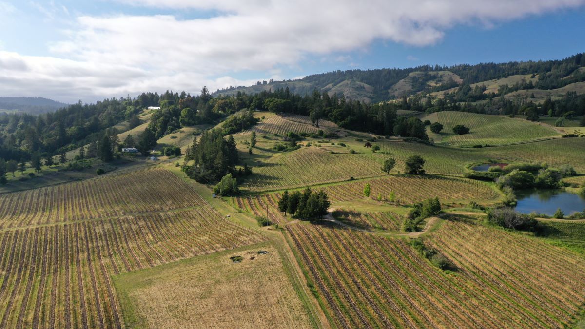 10 Best Anderson Valley Wineries, Hotels & Restaurants