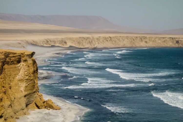 Paracas National Reserve