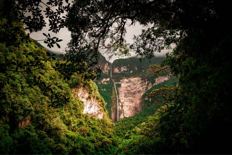 Peru's Amazon Rainforest with Waterfall