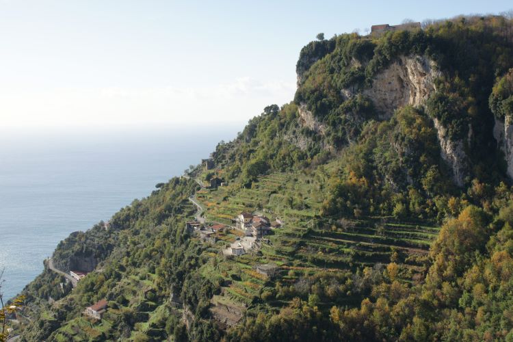 Cantine Marisa Cuomo, Italy