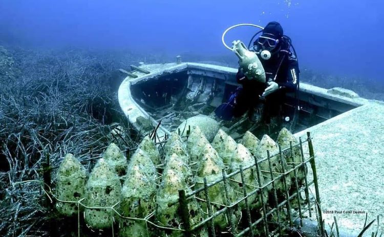 Scuba diving for wine at Edivo winery