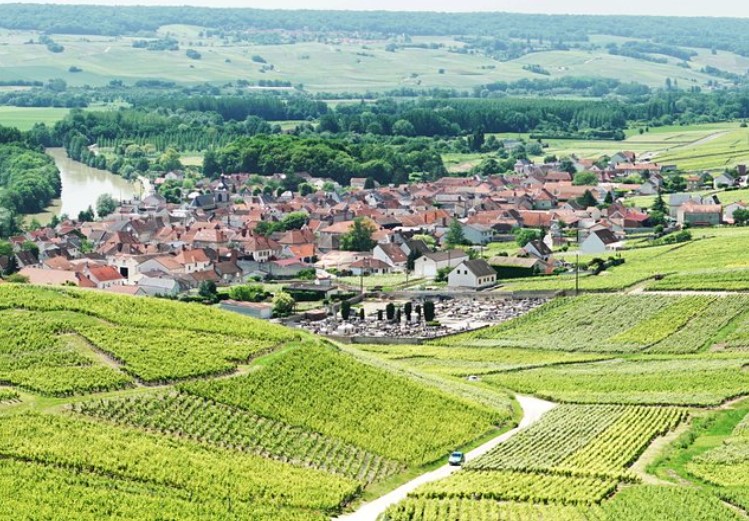 7 Best Paris Wine Tastings, Wine Tours & Day Trips 2024