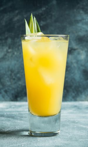 10 Most Popular Tropical Drink Recipes • Winetraveler