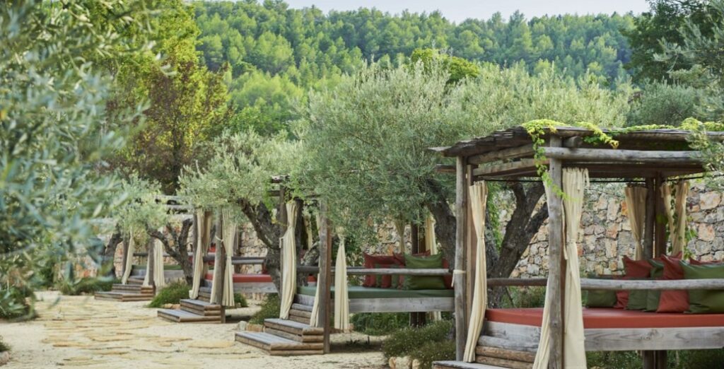 Chateau de Berne Provence wine tour and wine tasting experiences