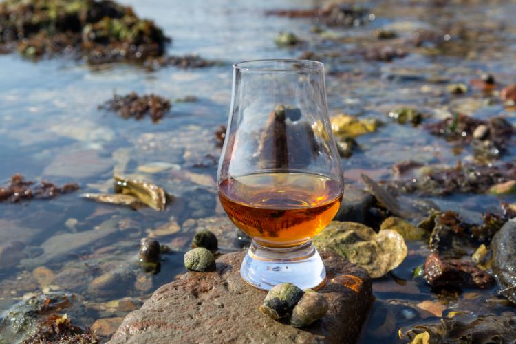 Glass of Scotch Whisky by the sea in Scotland