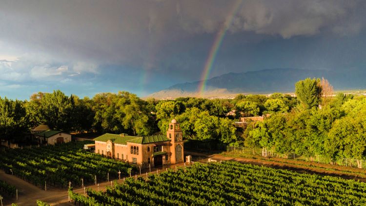 New Mexico Wine Region View