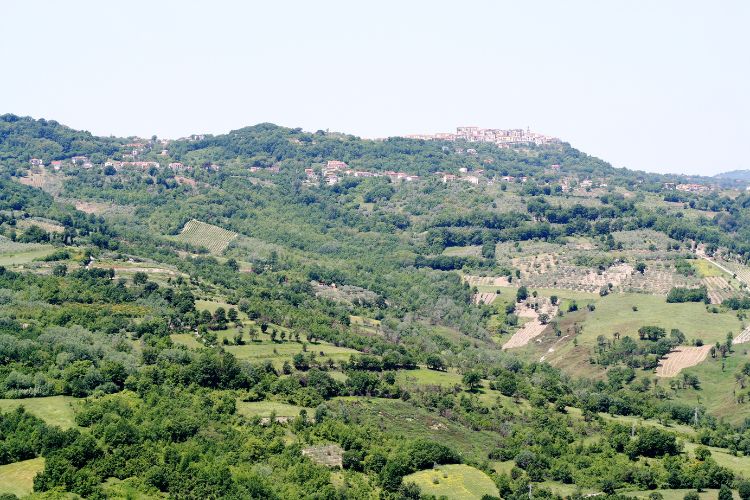 Aerial view of Taurasi DOCG vineyard landscape