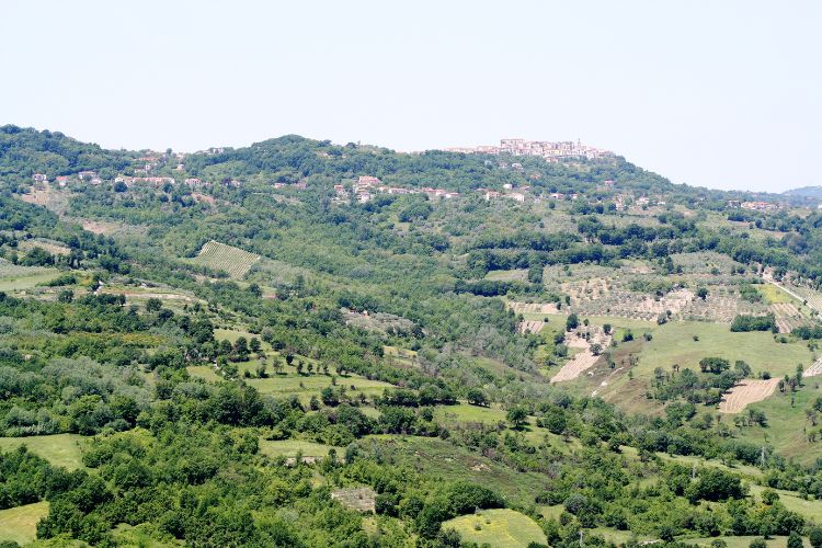 Aerial view of Taurasi DOCG vineyard landscape