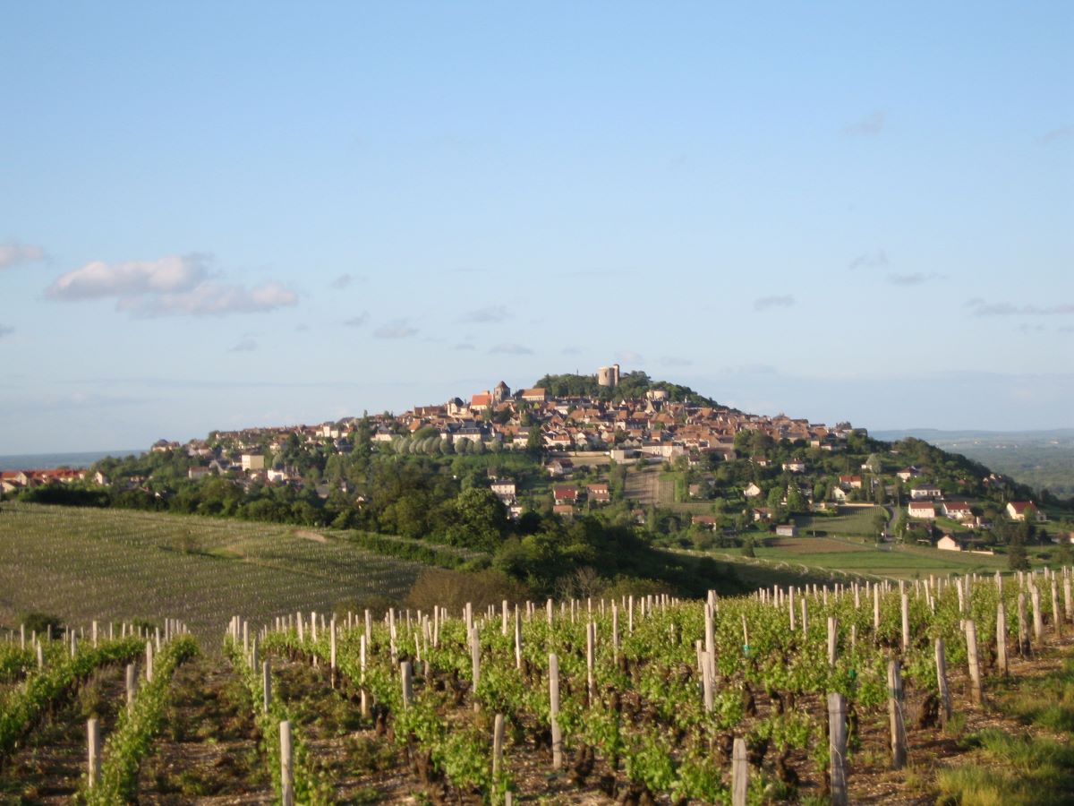 View of the Sancerre wine region with wineries and vineyards