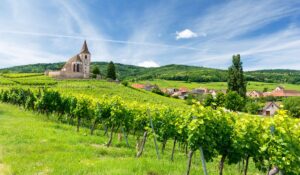 Alsace