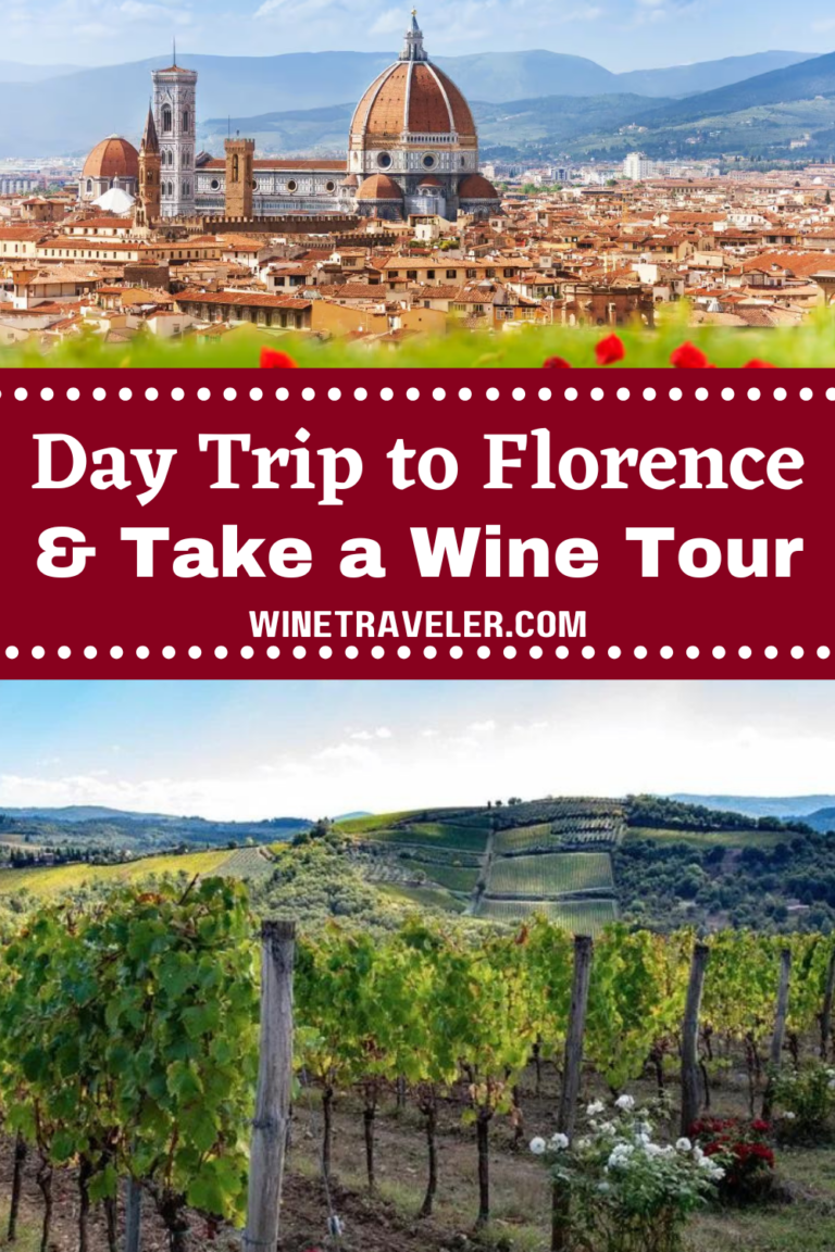 Best Florence Wine Tours, Wine Tastings & Day Trips 2024