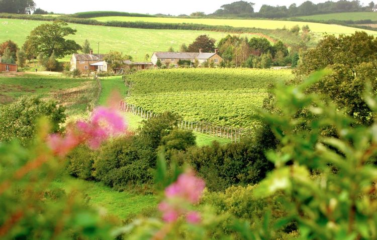 Furleigh Estate Dorset