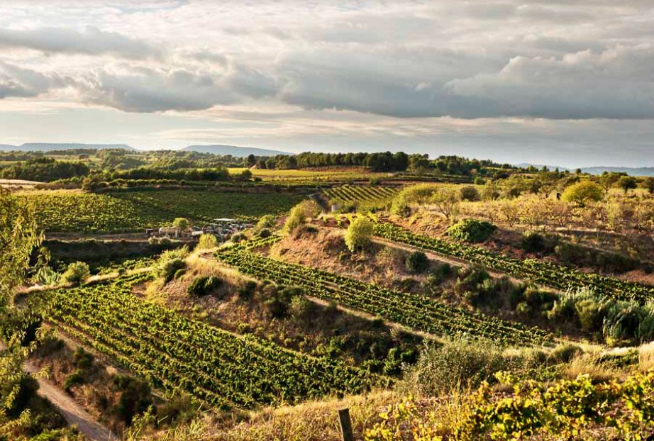 Views from Gramona Winery