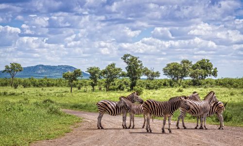 Kruger National Park, South Africa