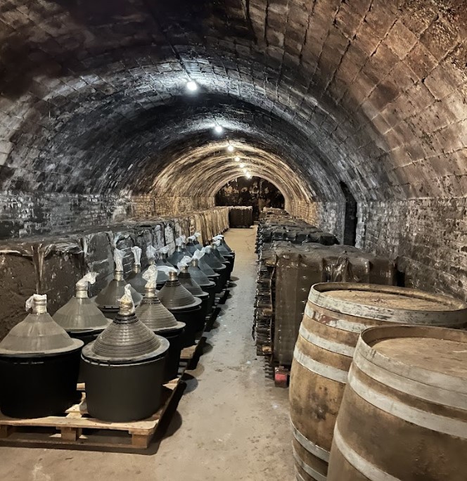 Parés Baltà Winery Cellar