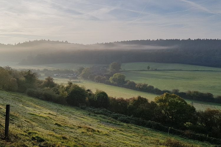 A view of the Surrey landscape near Guildford in England