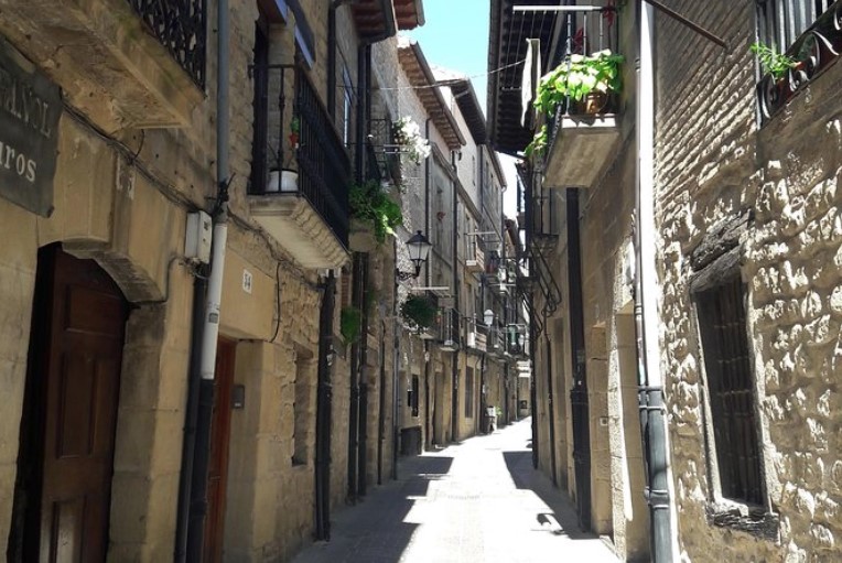 Private Rioja Wine Tasting Tour with Local Lunch (From San Sebastian, Bilbao, Pamplona, or Logroño)