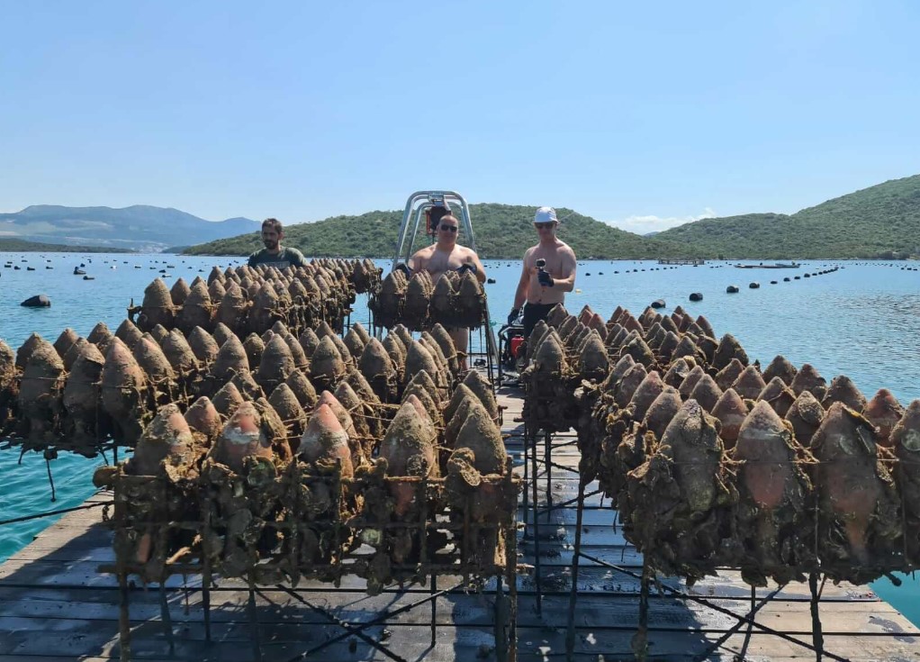 Edivo Underwater Winery in Croatia