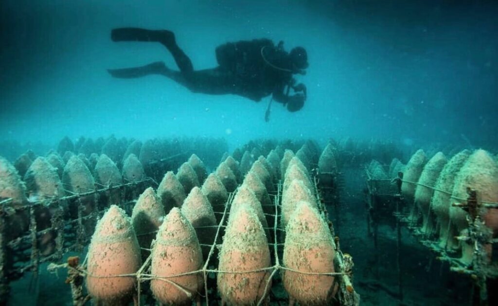 Scuba diving for wine
