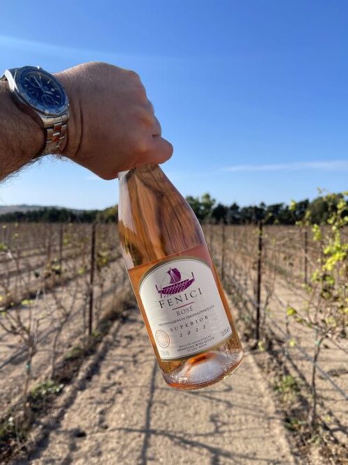 Fenici Rose Wine at Meridiana Wine Estate