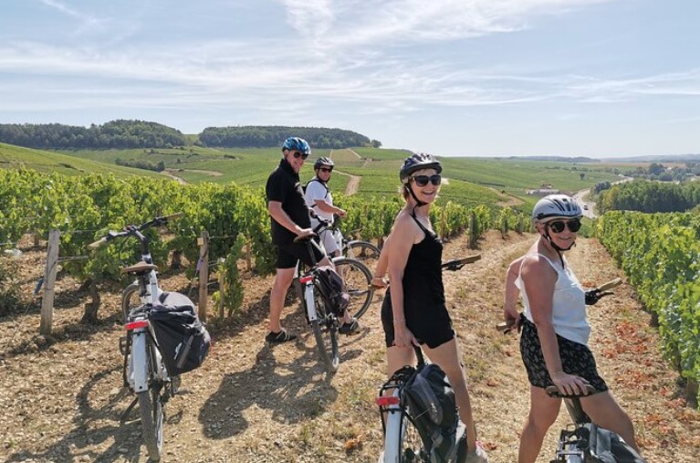 Private E-Bike Wine Tour in Chablis Vineyards