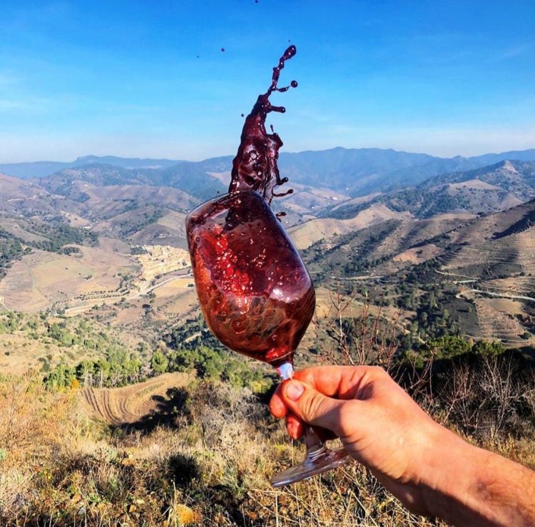 swirling a glass of wine in the wine region of Catalonia