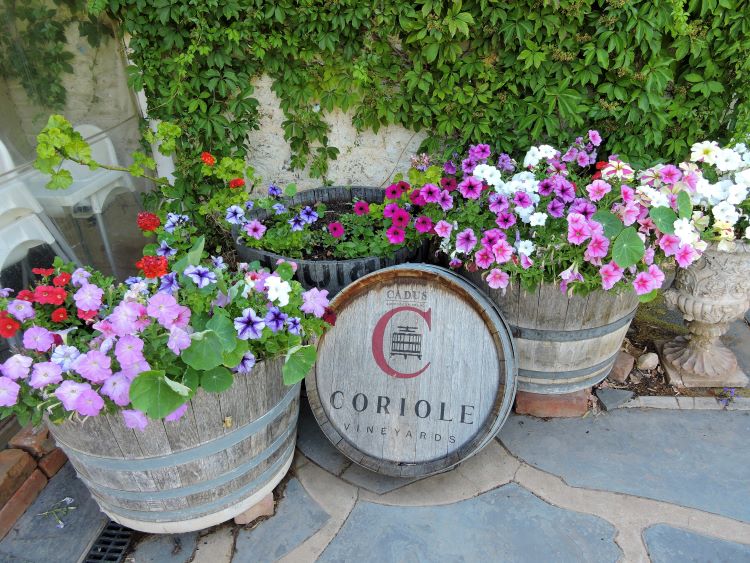 Coriole Vineyards