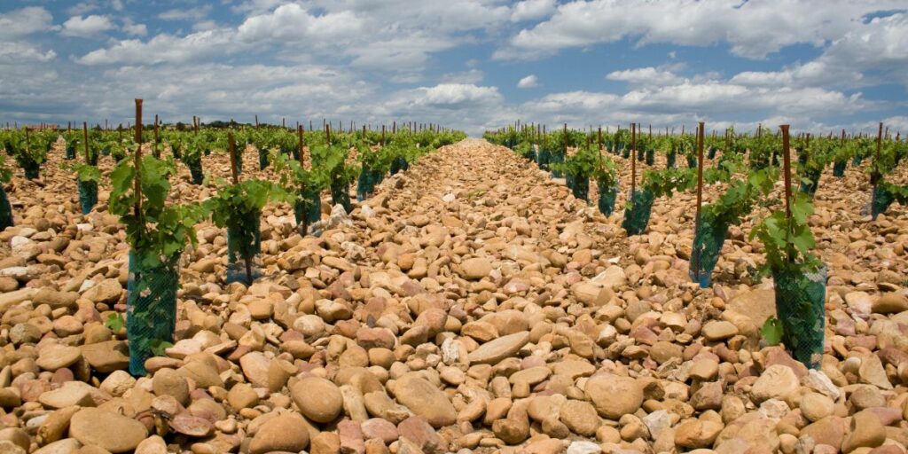 Ultimate Guide to Visiting Châteauneuf-du-Pape's Best Wineries in 2024