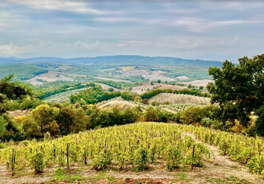 Fattoria La Maliosa