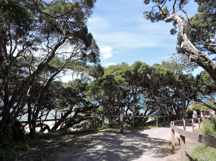 Bay Trail to Sorrento Pier