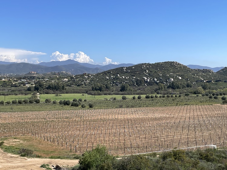 Vinos Paoloni | Hotel Villa Monte Fiori