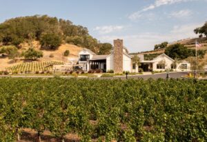Baldacci Family Vineyards