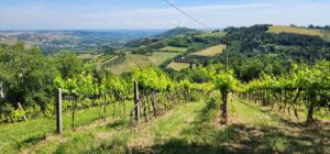 Explore the Hidden Gems of Emilia-Romagna: Medieval Cities, Fine Wines, and Unforgettable Cuisine