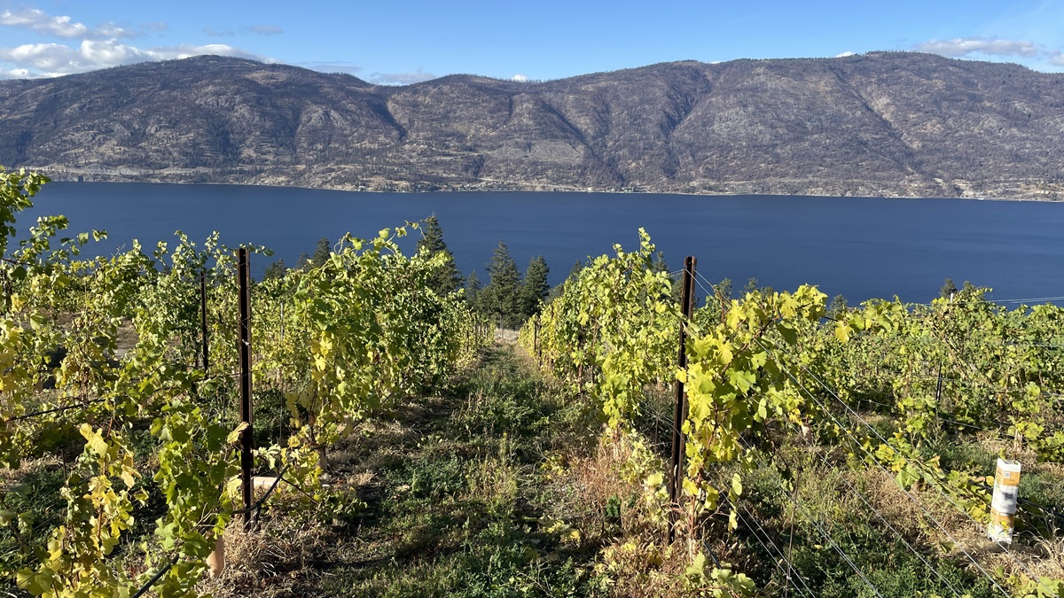 Okanagan Lake View from Ex Nihilo