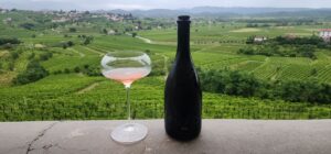 North Adriatic Wine & Travel Guide: Exploring Italy, Slovenia & Croatia