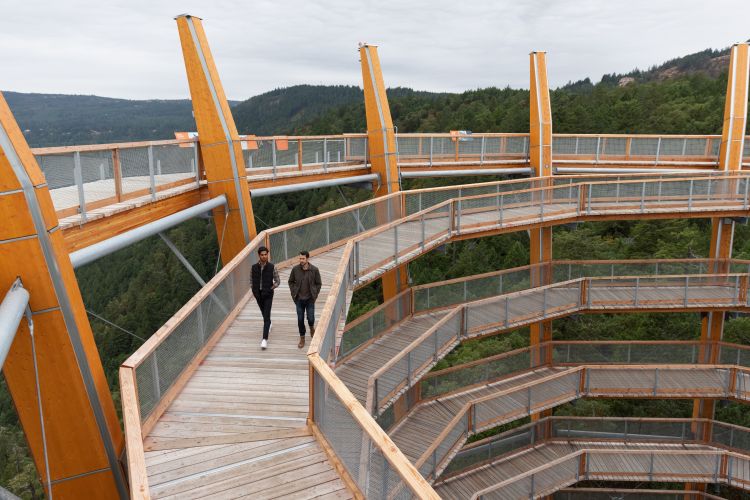 Photo of Malahut Skywalk_Tourism Cowichan