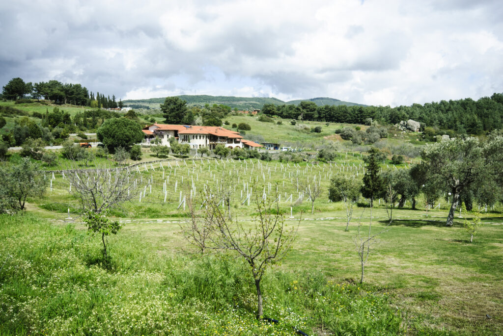 7Bilgeler winery hotel, Ephesus
