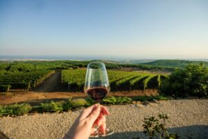 Turkey Wine Guide: Discover Turkish Wine & Regions