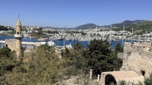 Beyond the Marina: Take the Wine Road to Karaova Valley in Bodrum, Turkey