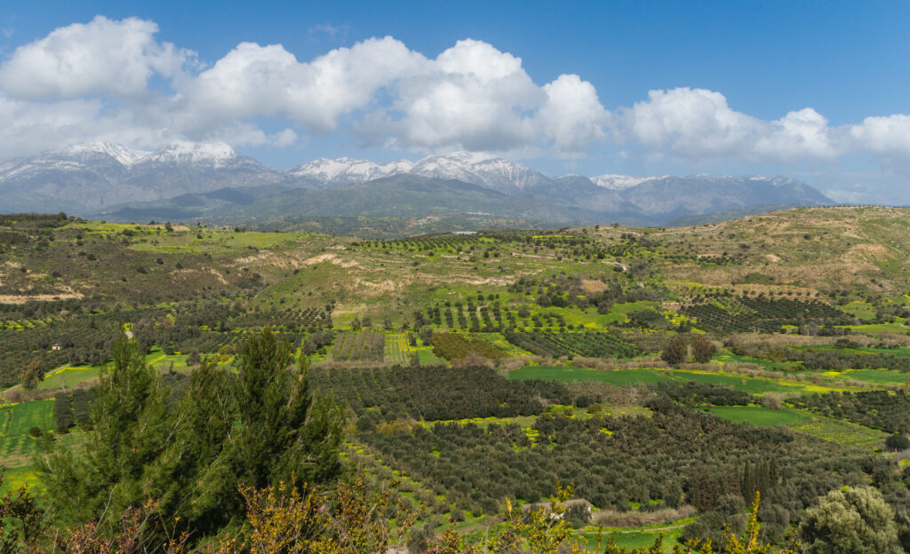 Crete wine region