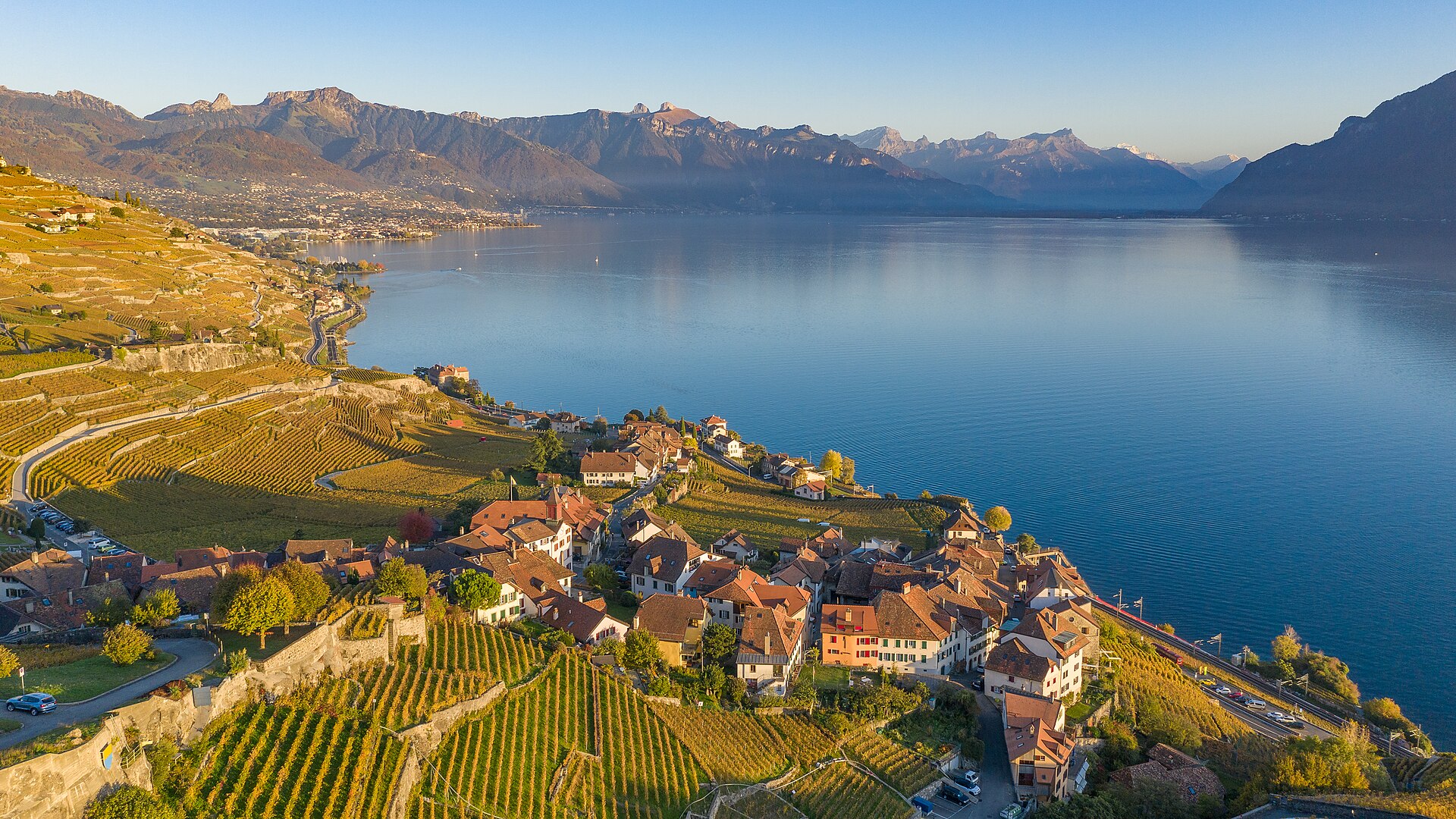 Terraced vineyards of Lavaux above Lake Geneva