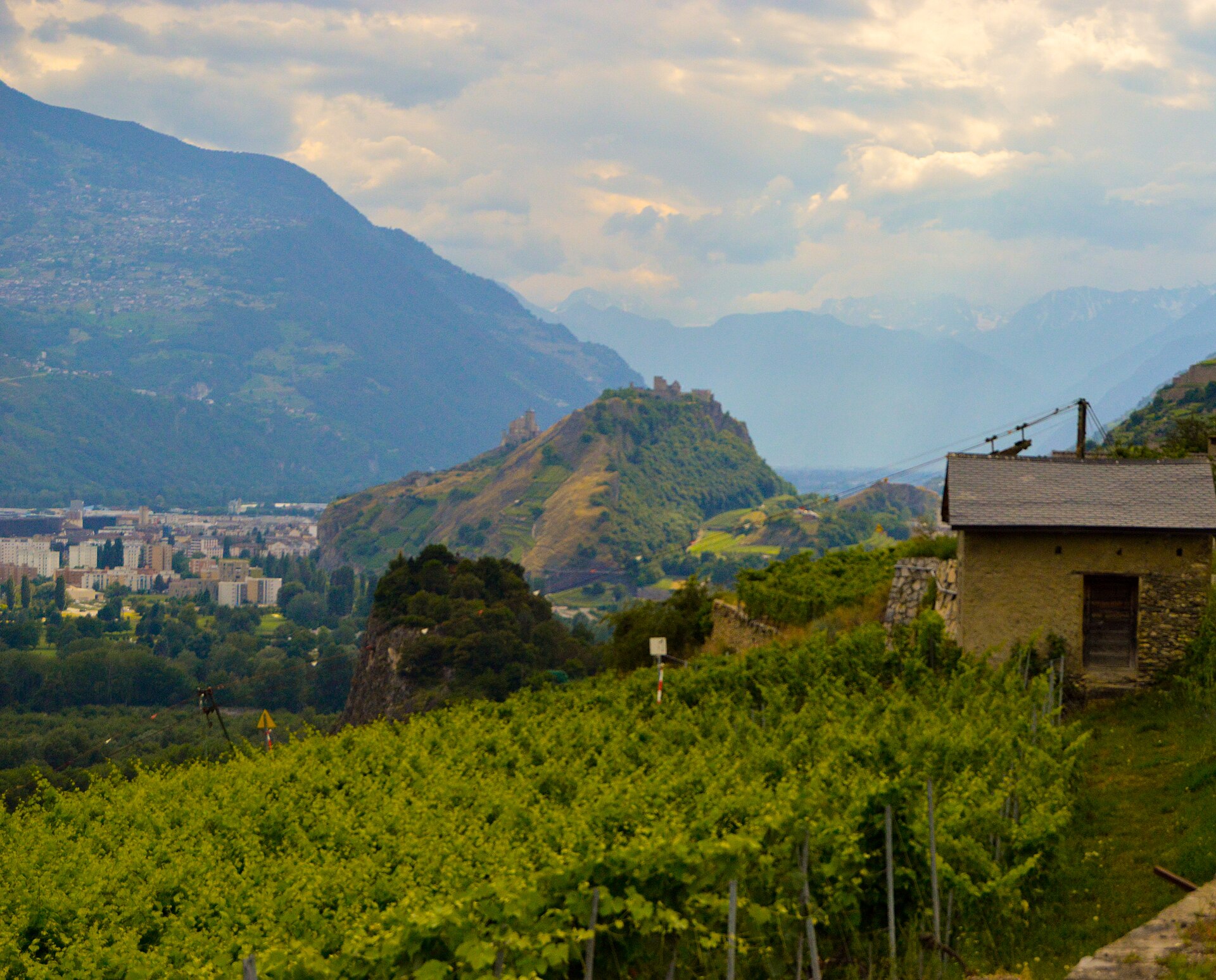 Vineyards above Sion in the Valais, Switzerland
