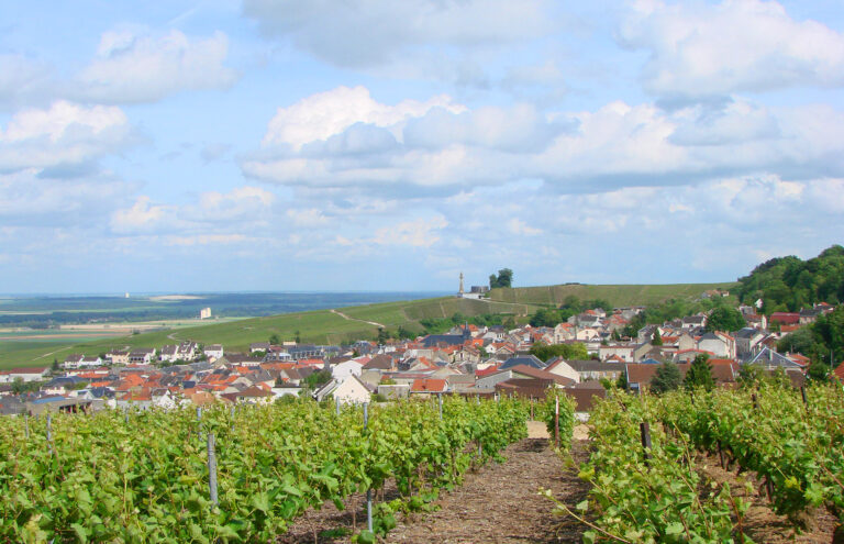 Best Wineries Near Paris: Where to Go Wine Tasting From the City