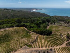 Quinta Vale da Roca